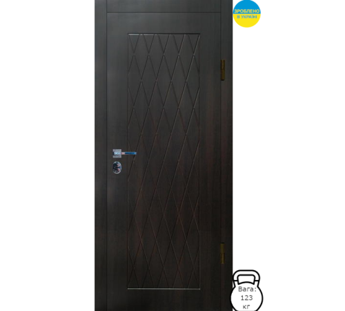Дверь входная DV-0000