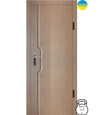 Входная дверь DV-0033