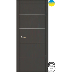 Входная дверь DV-01169
