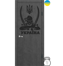 Двері вхідні DV-0202